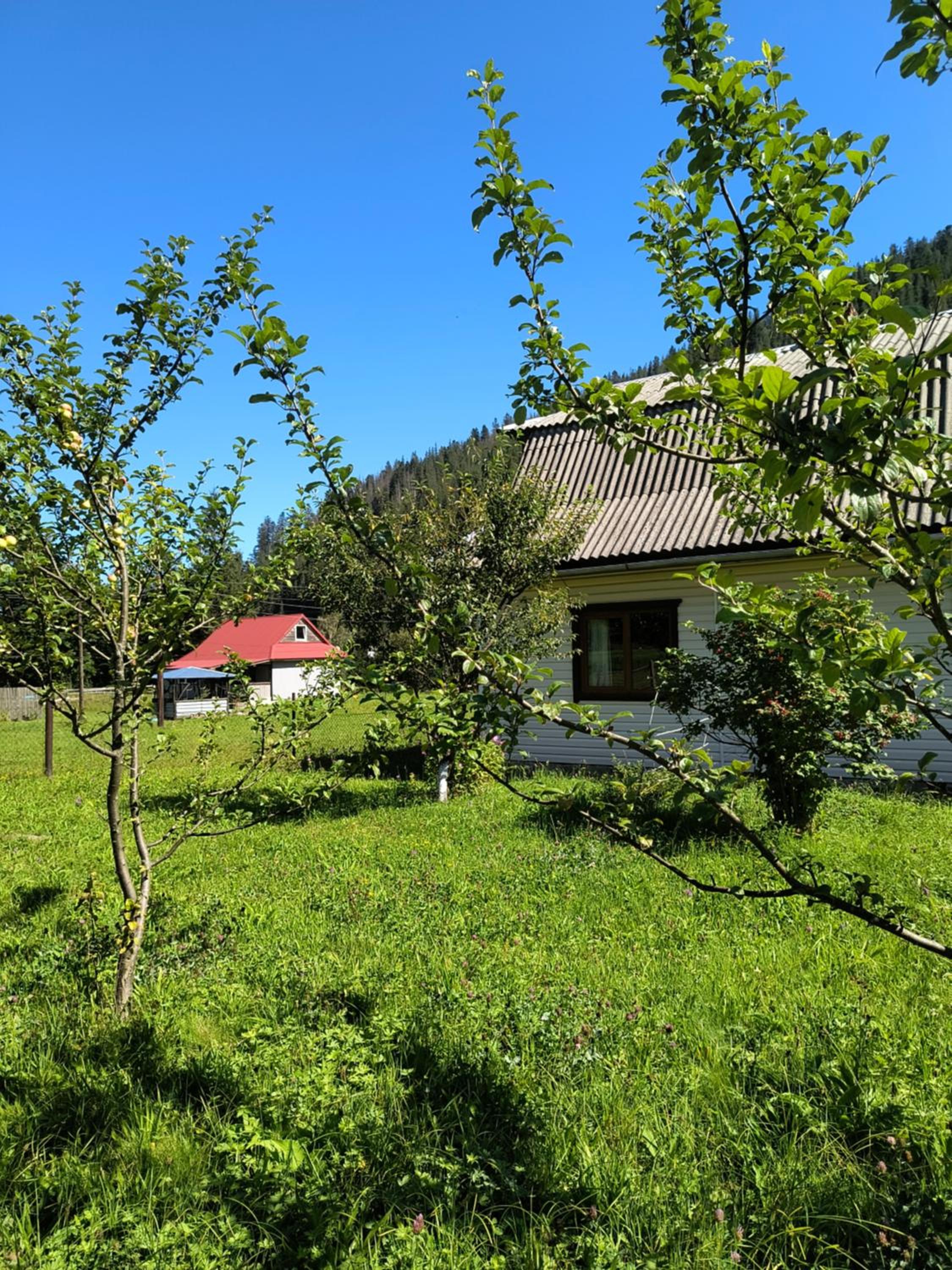 Photo 29