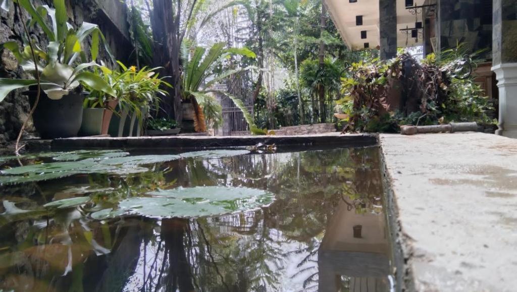 Diyon Holiday Bungalow view 2