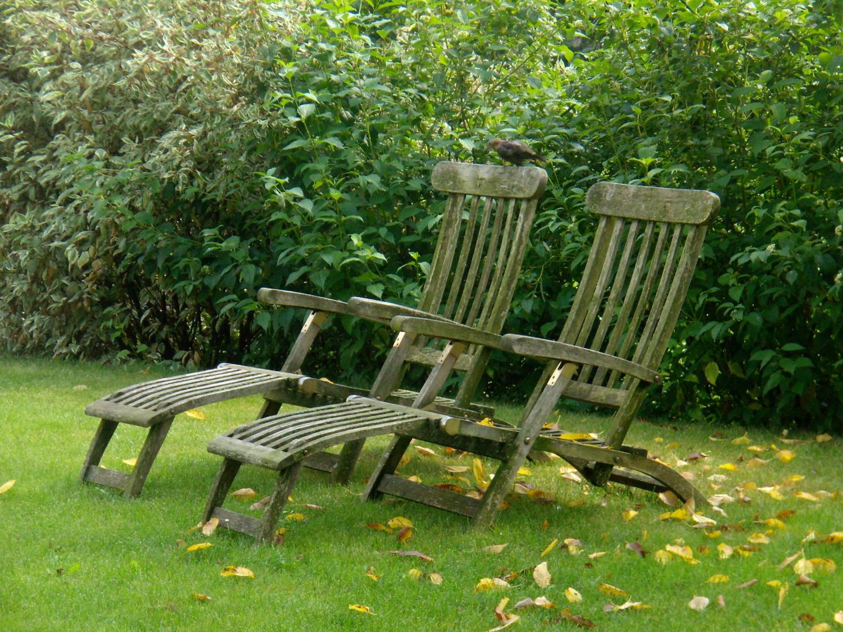 Gartenappartement Ybbs
