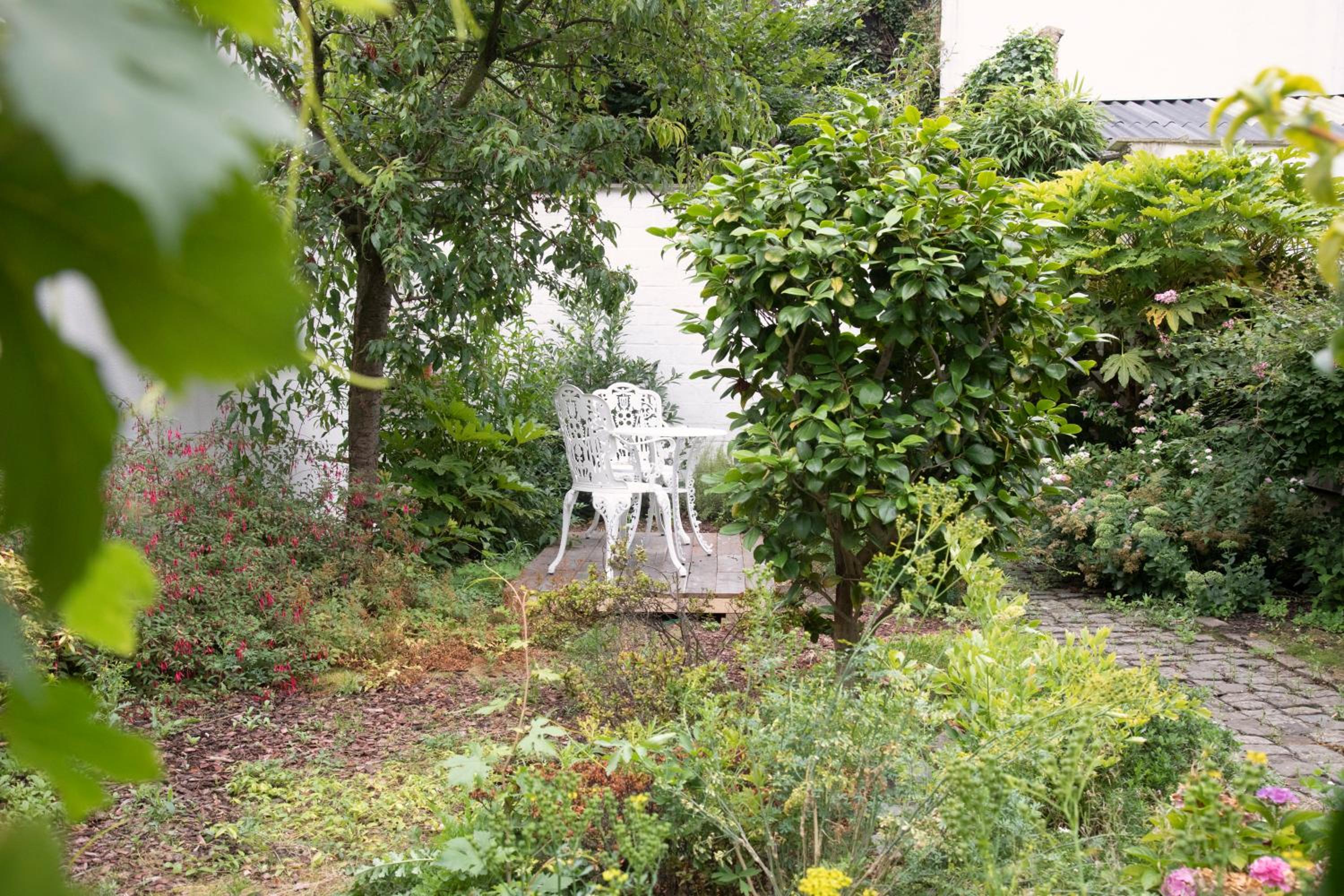The Greenhouse