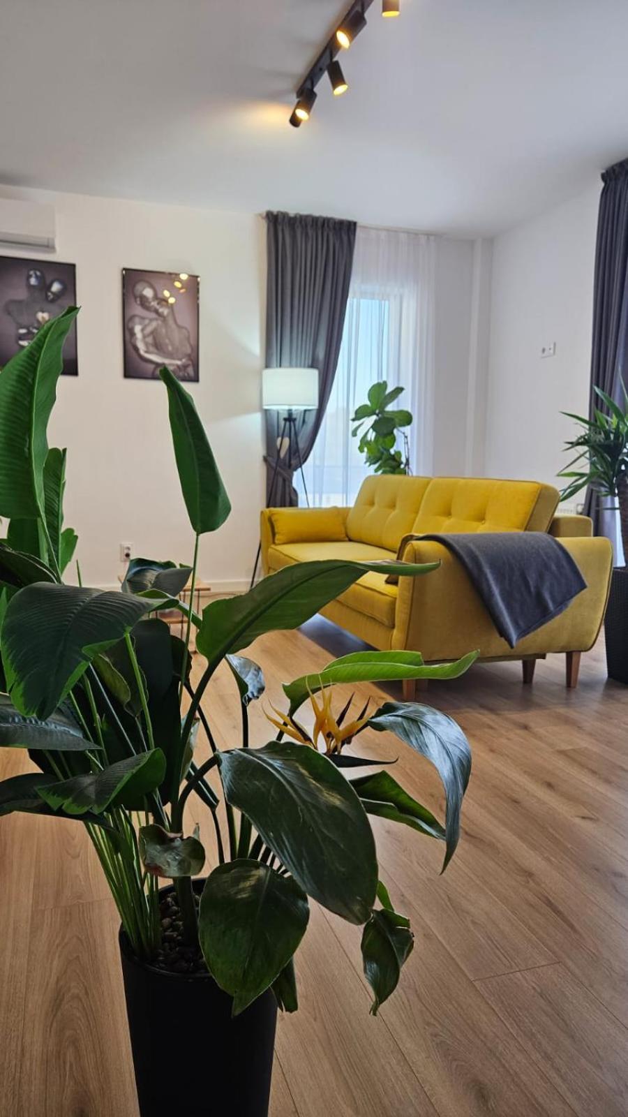 Lavandei Berc Apartment view 3