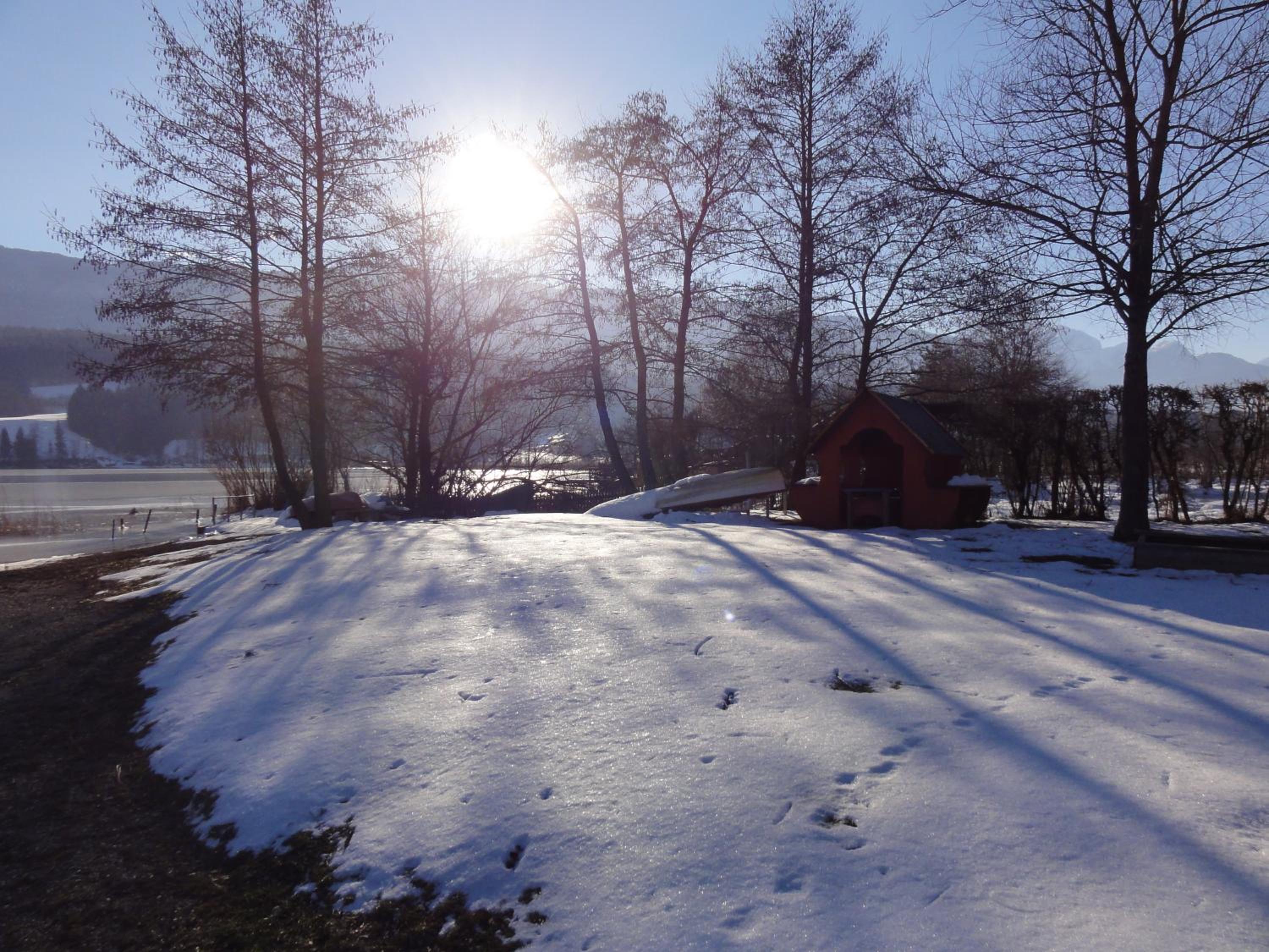 Photo 44