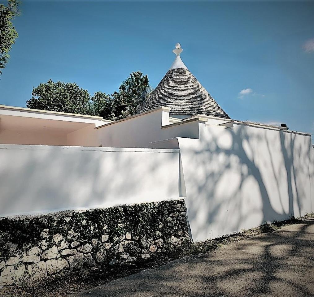 Photo 41