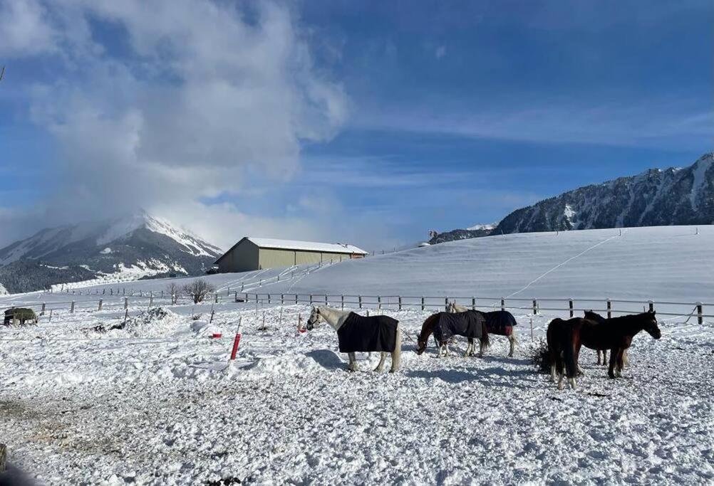 Cosy Appartement dans chalet