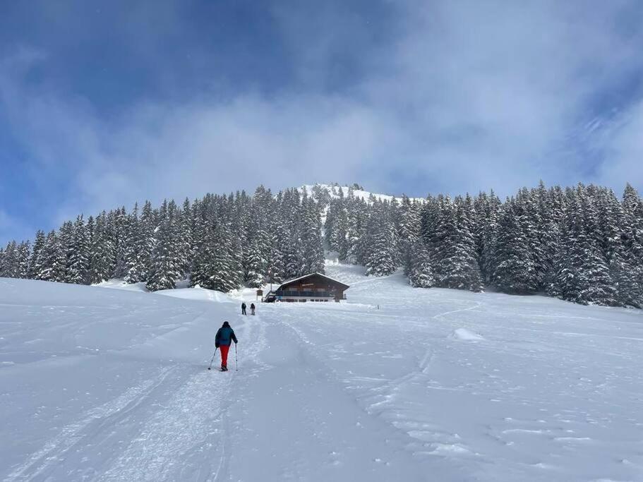 Cosy Appartement dans chalet