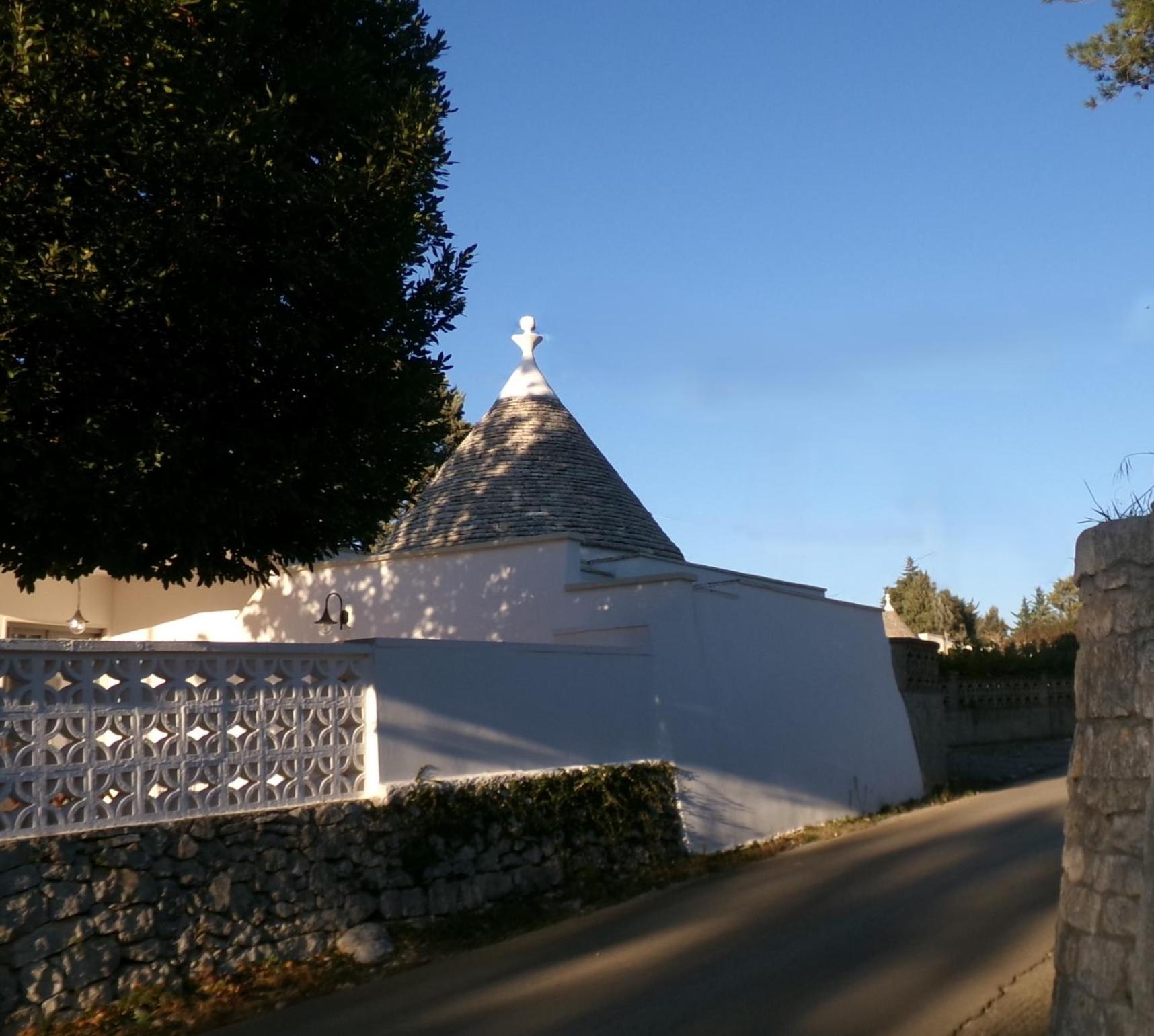 Photo 48