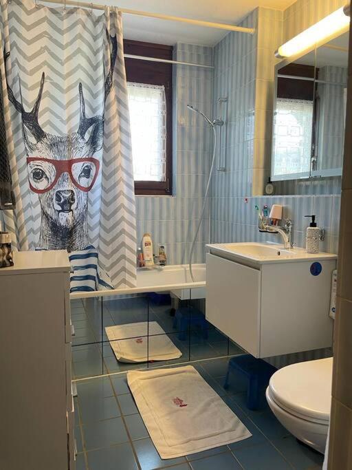 Cosy Appartement dans chalet
