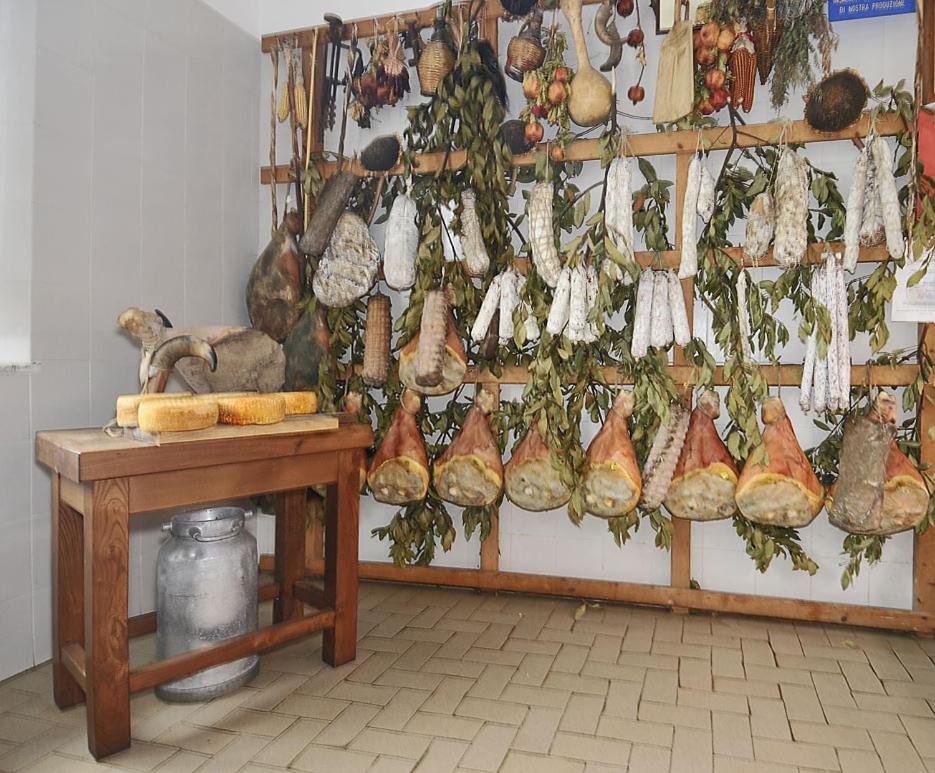 Fattoria Agriturismo Bigongiari