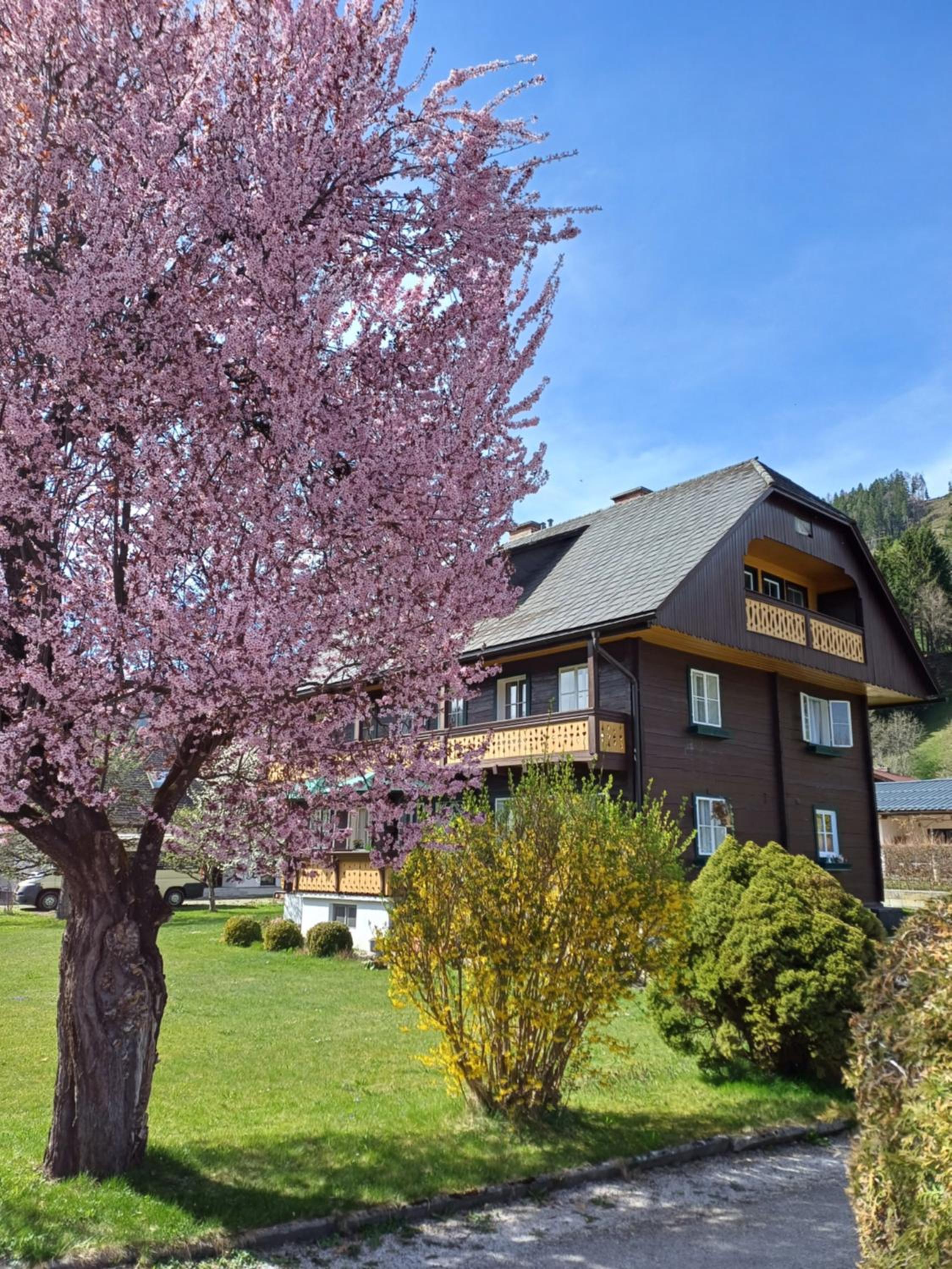 Appartement Steiner