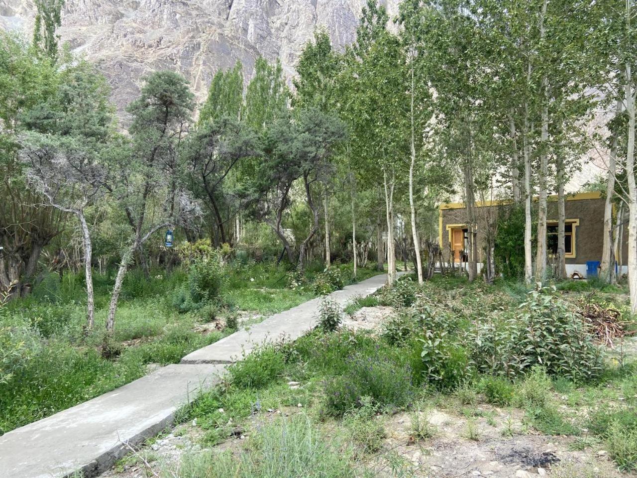 Photo 19