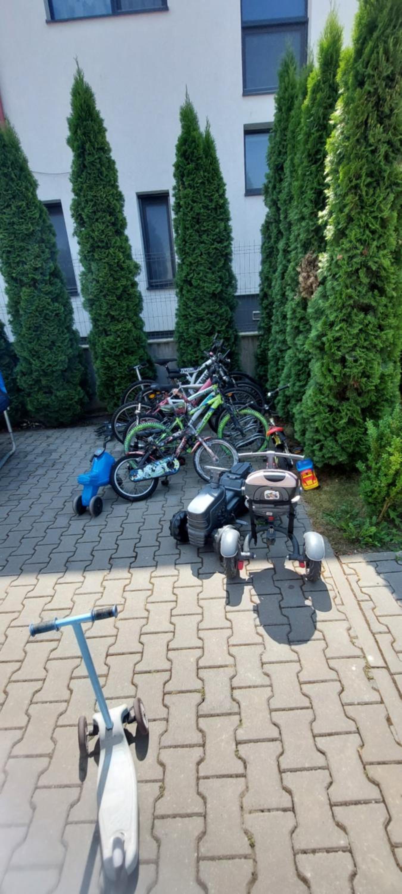 Photo 105