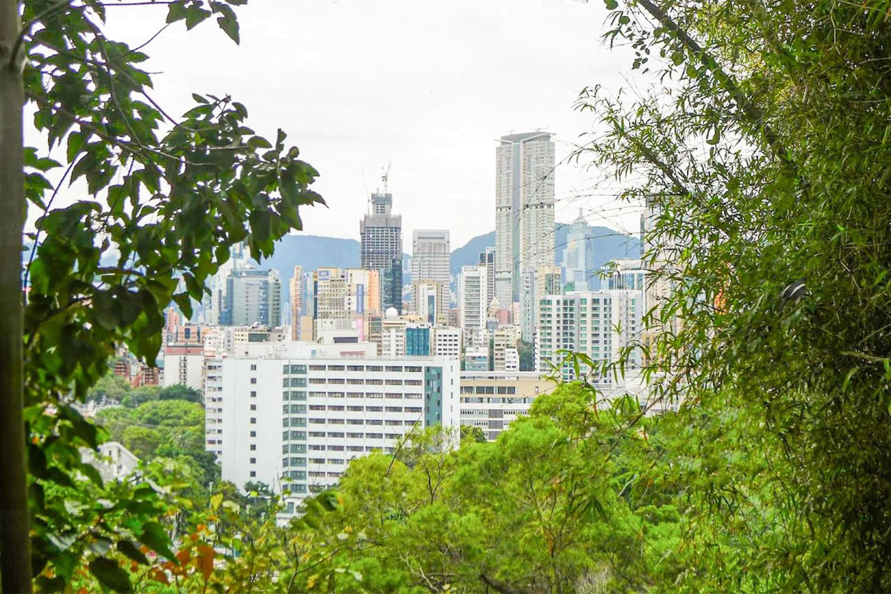 Urbanwood Hung Hom