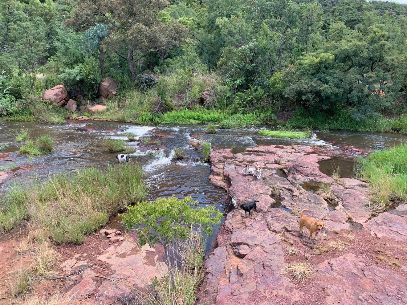 Photo 22