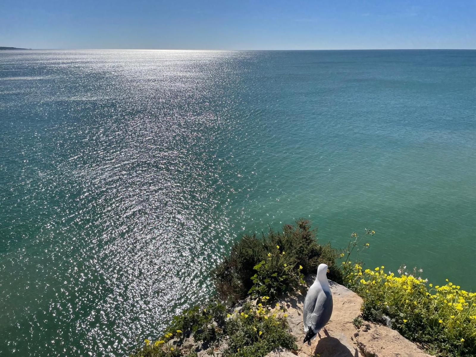 Algarve Nice View view 2