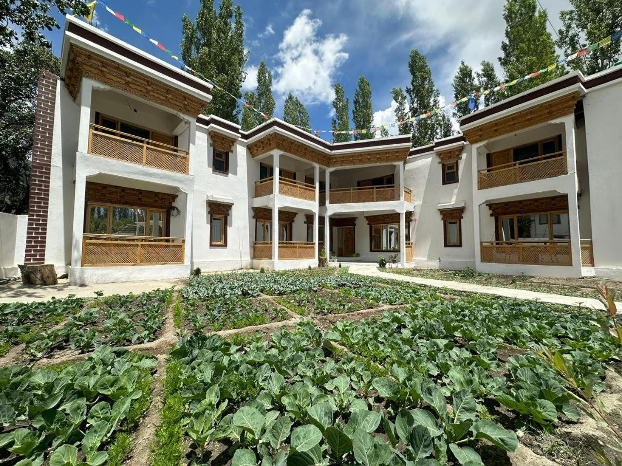 Losar Guest House Ladakh by LexStays view 3