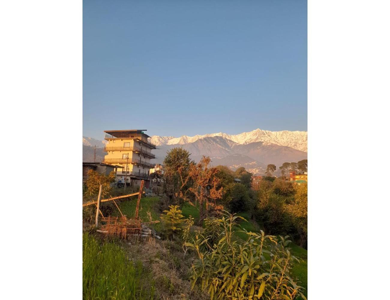 Hotel The Village Residency, Dharamshala view 2
