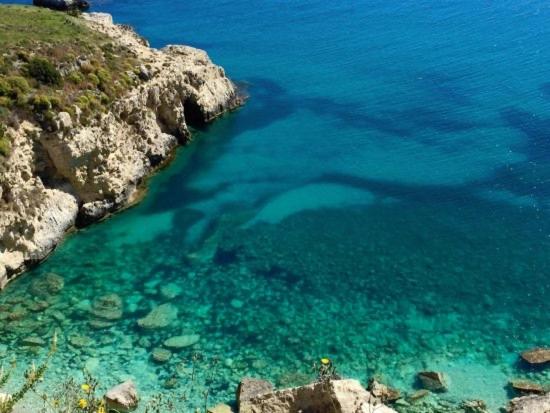 Profumo di mare photo 3