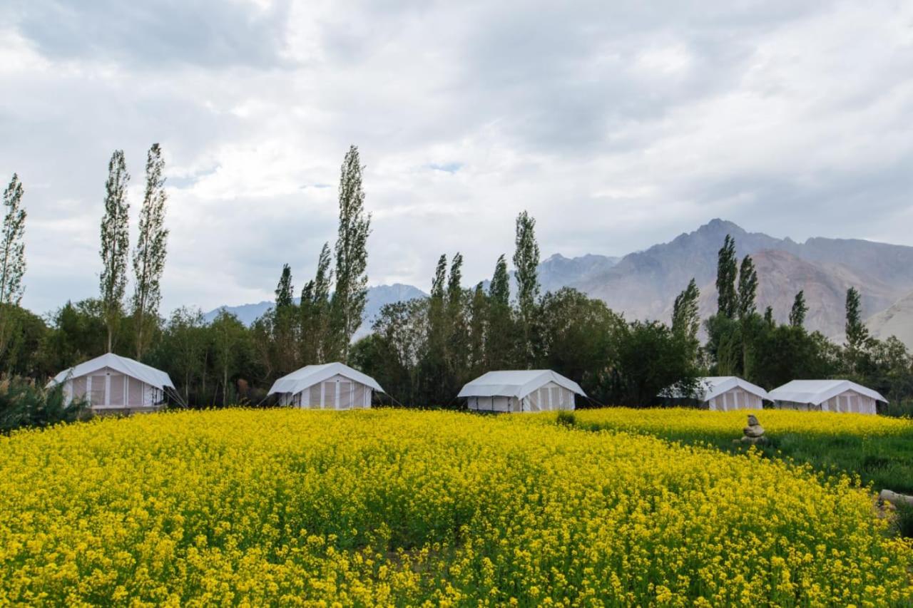 Magpie Camp Ladakh by LexStays view 4
