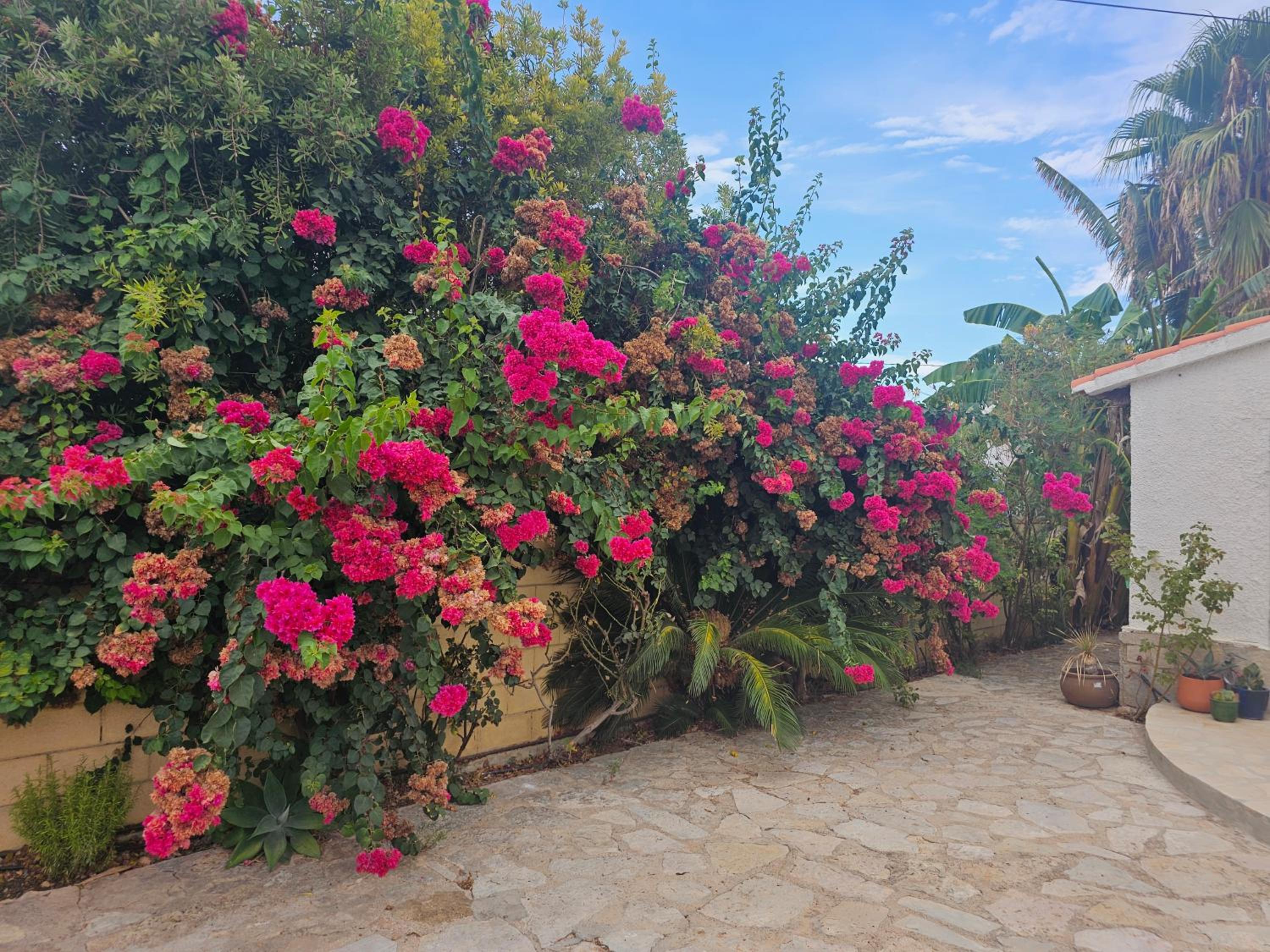 Casa de flores