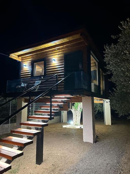 Kallmeti Treetop Suite