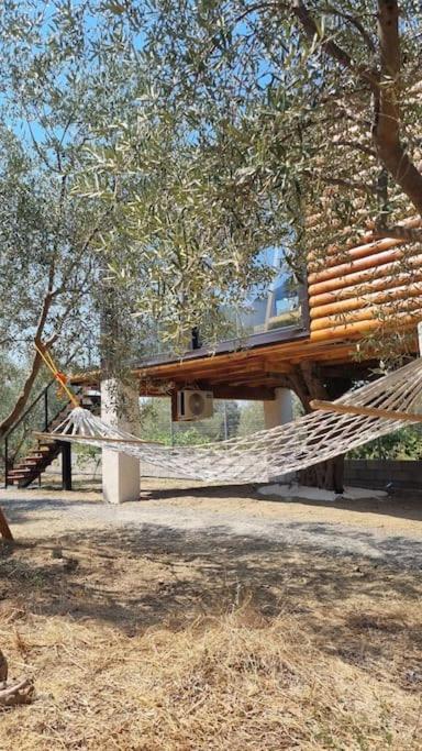 Kallmeti Treetop Suite