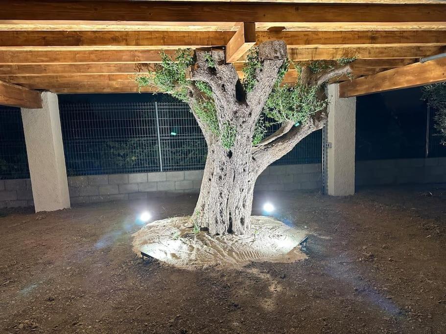 Kallmeti Treetop Suite