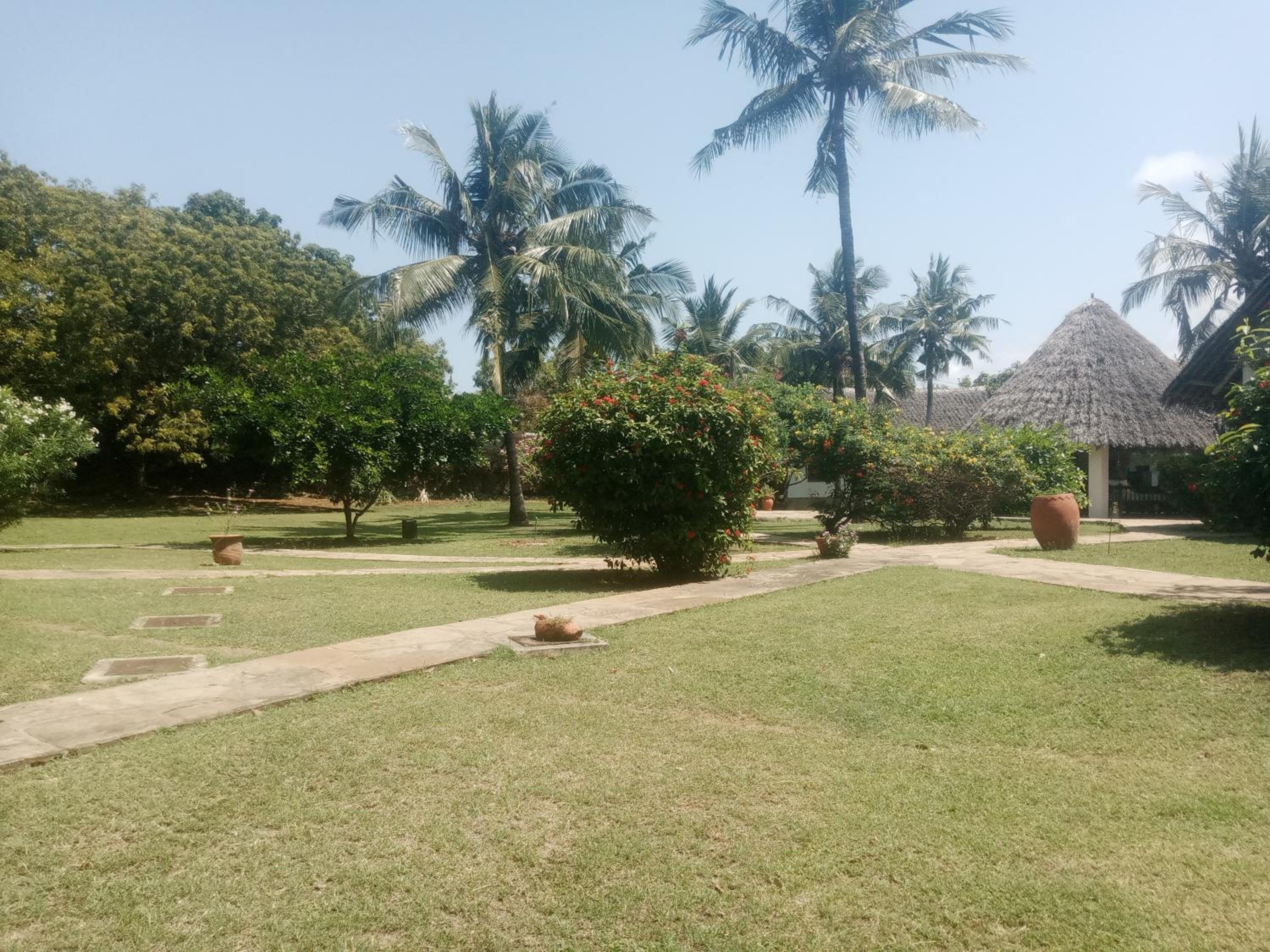 Roekenest Ndege House