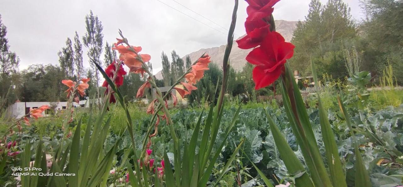 Royal Mount Guest House Ladakh by LexStays view 2