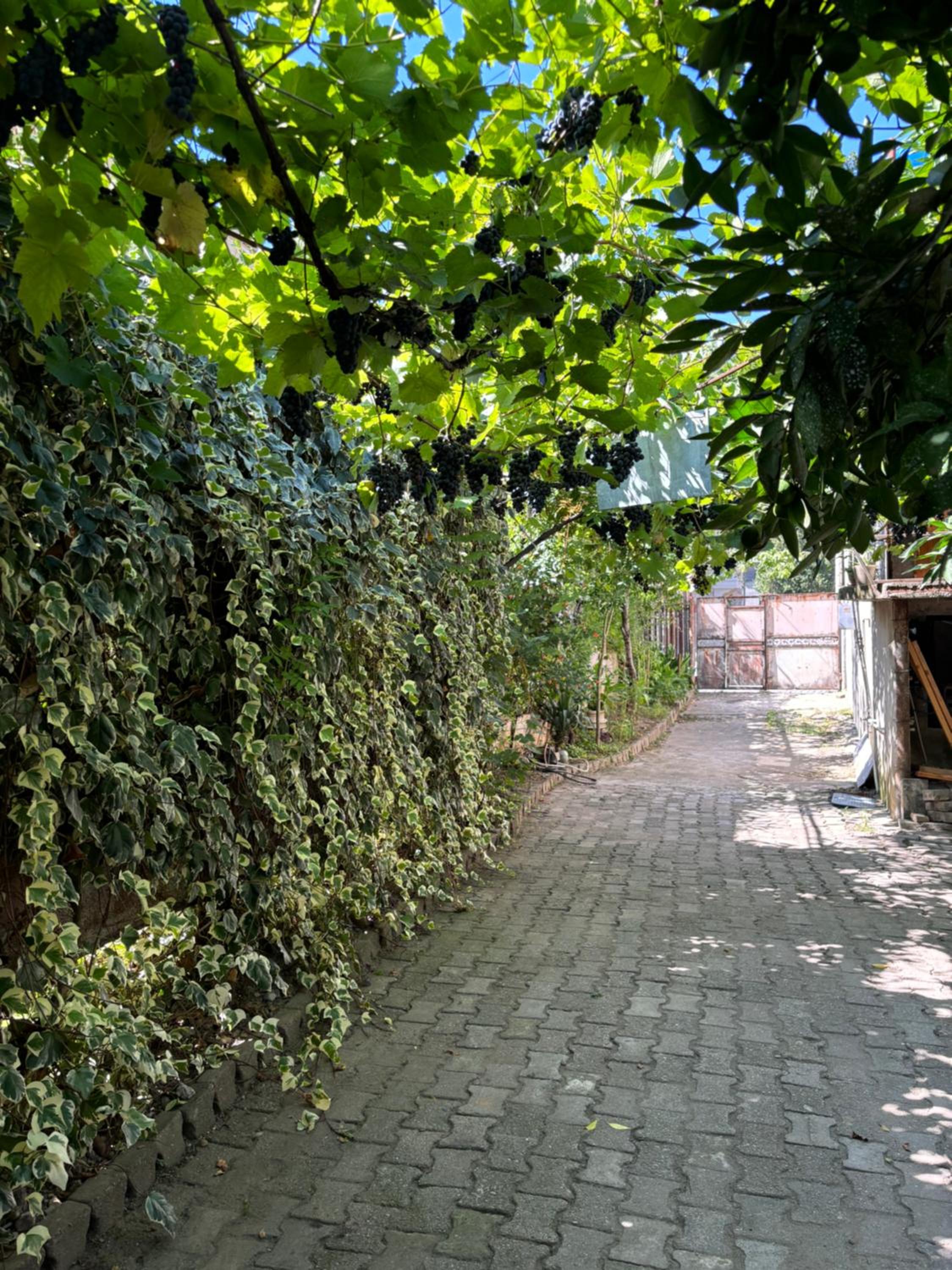 Photo 40