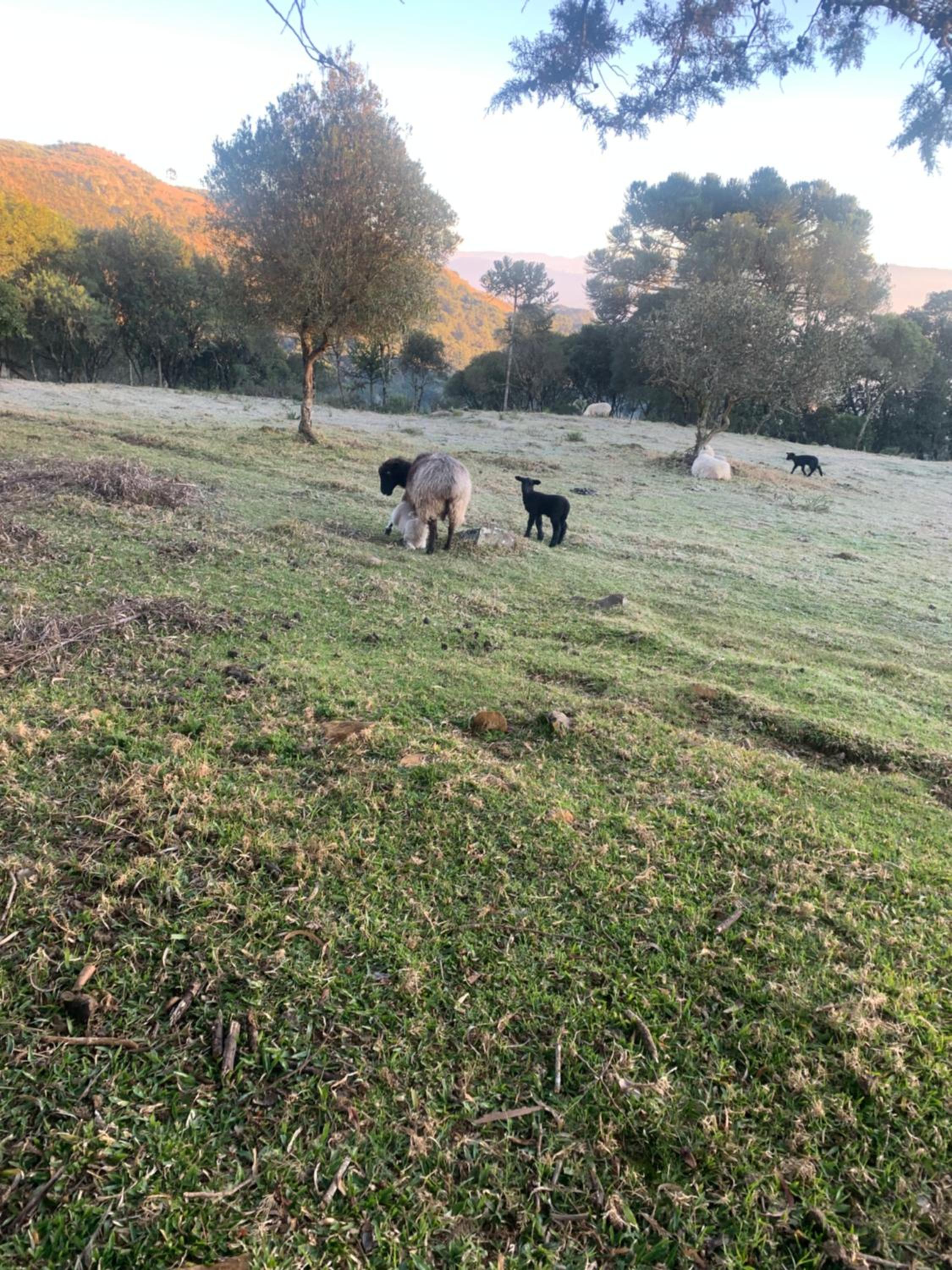POUSADA FAZENDA PAIM