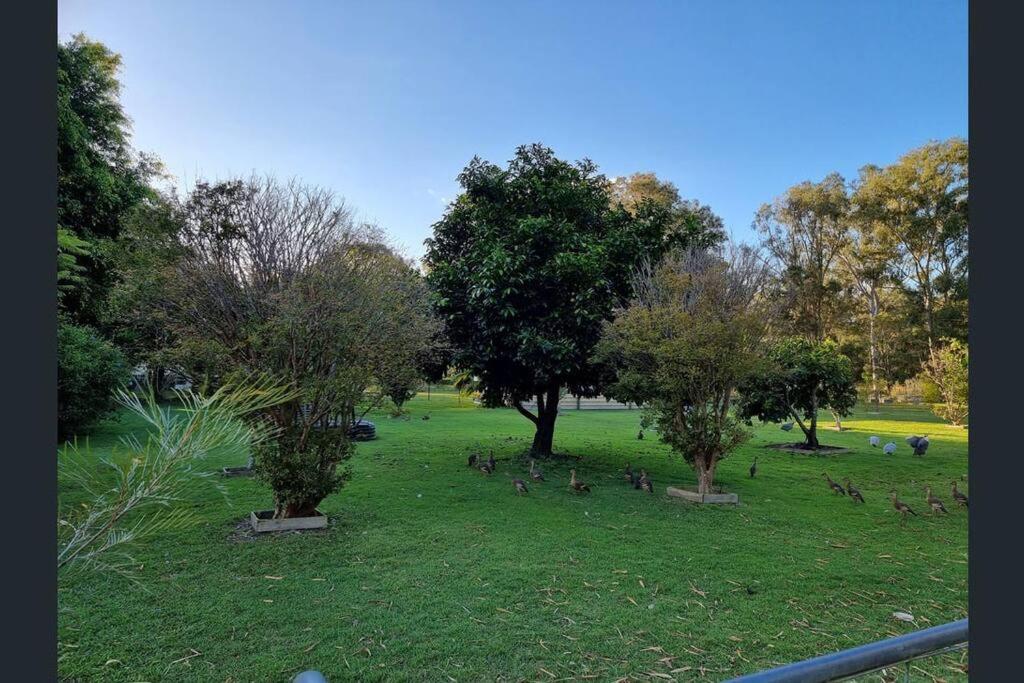 Spacious cottage at Burpengary with Garden view