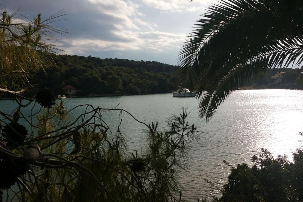Villa Emeli - Close to Beaches & downtown view 3
