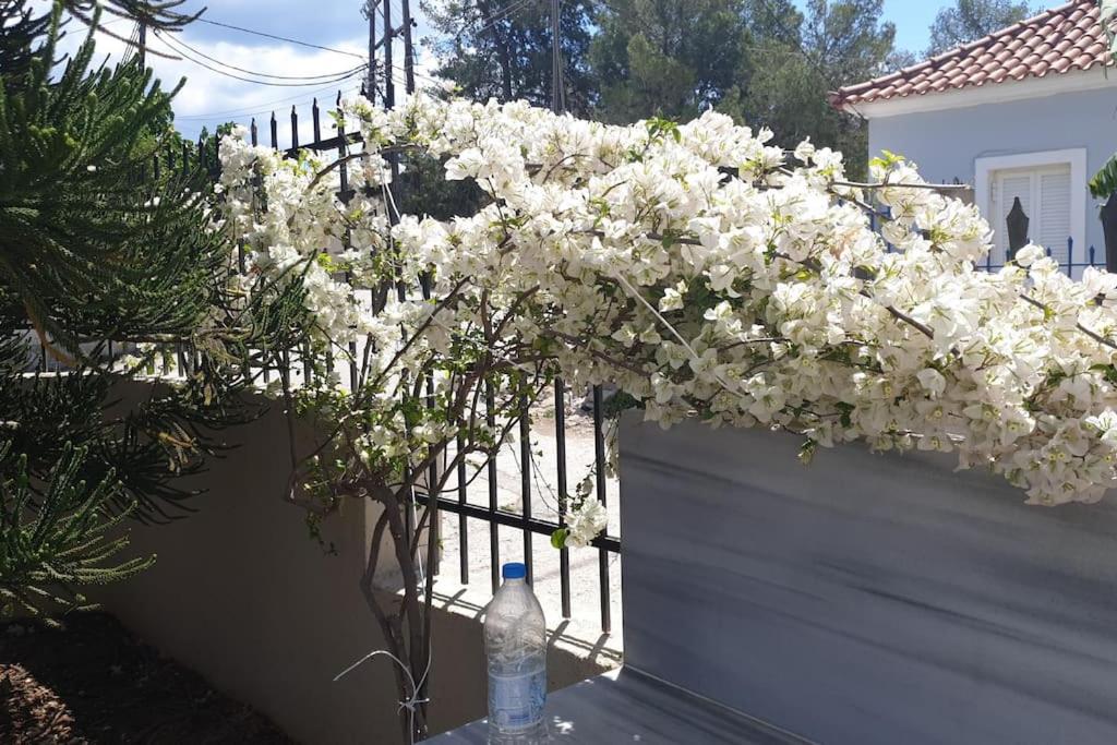 Photo 31