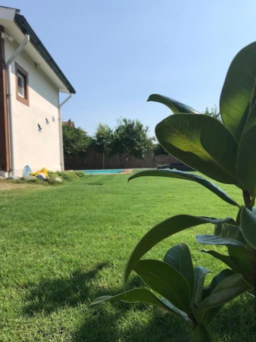 KırlangıçEvi