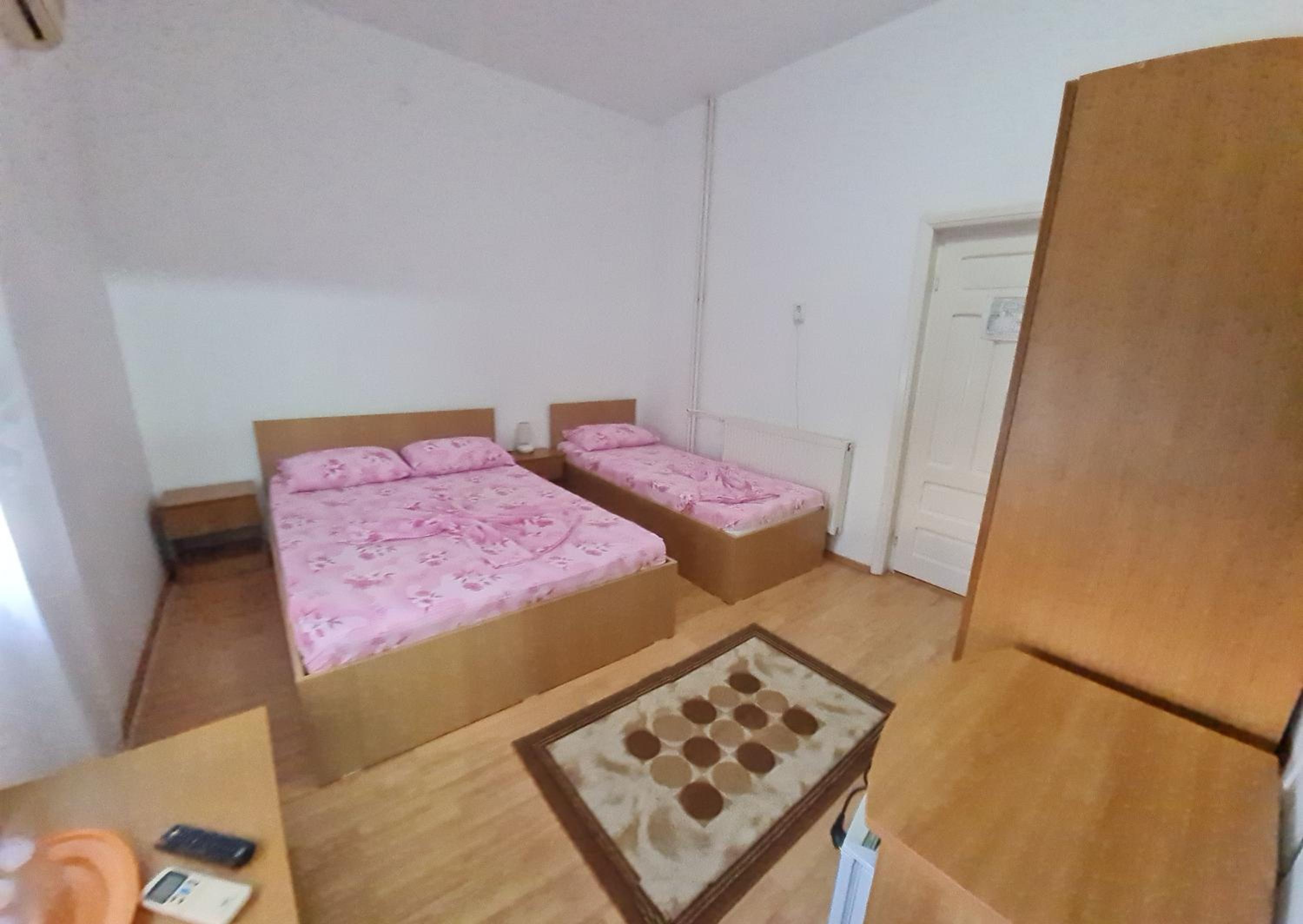 Vila turistica UDREA