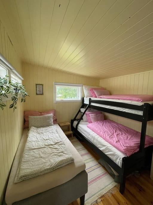 Unique cabin on private island 35 min from Oslo