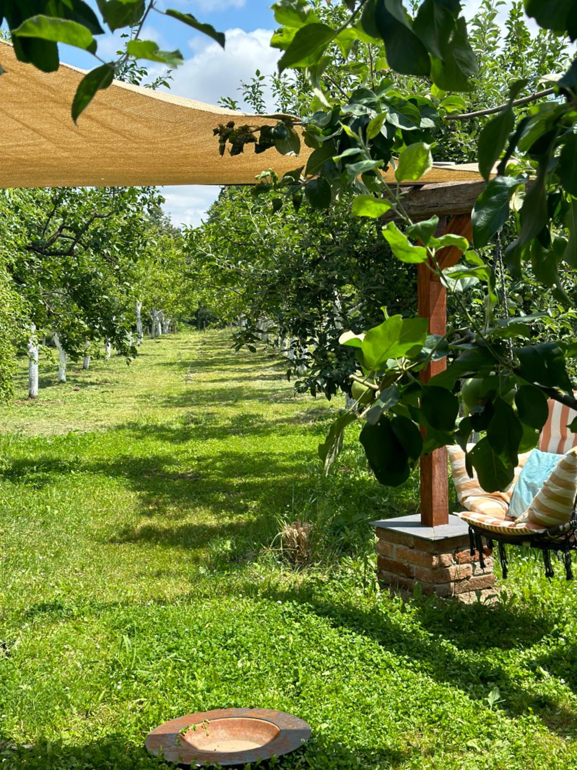 Charming place in the nature-Casita Iris