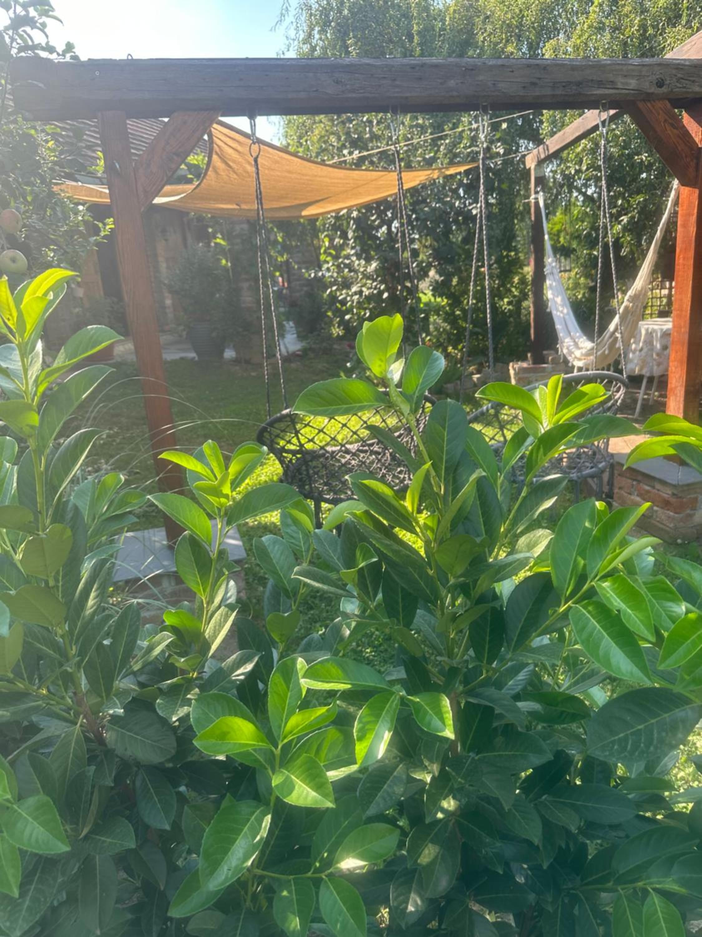 Charming place in the nature-Casita Iris
