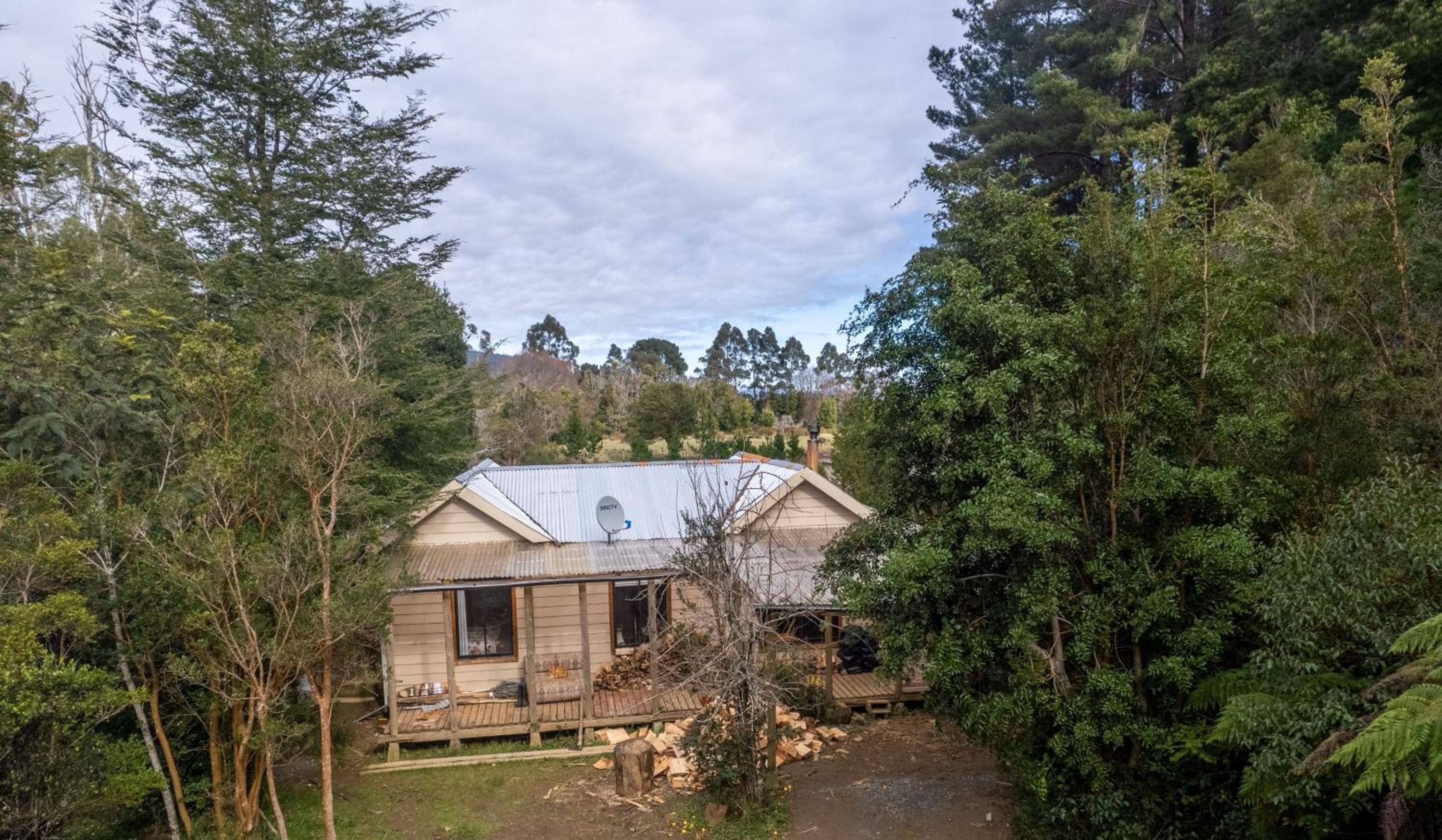 Refugio en Selva Valdiviana