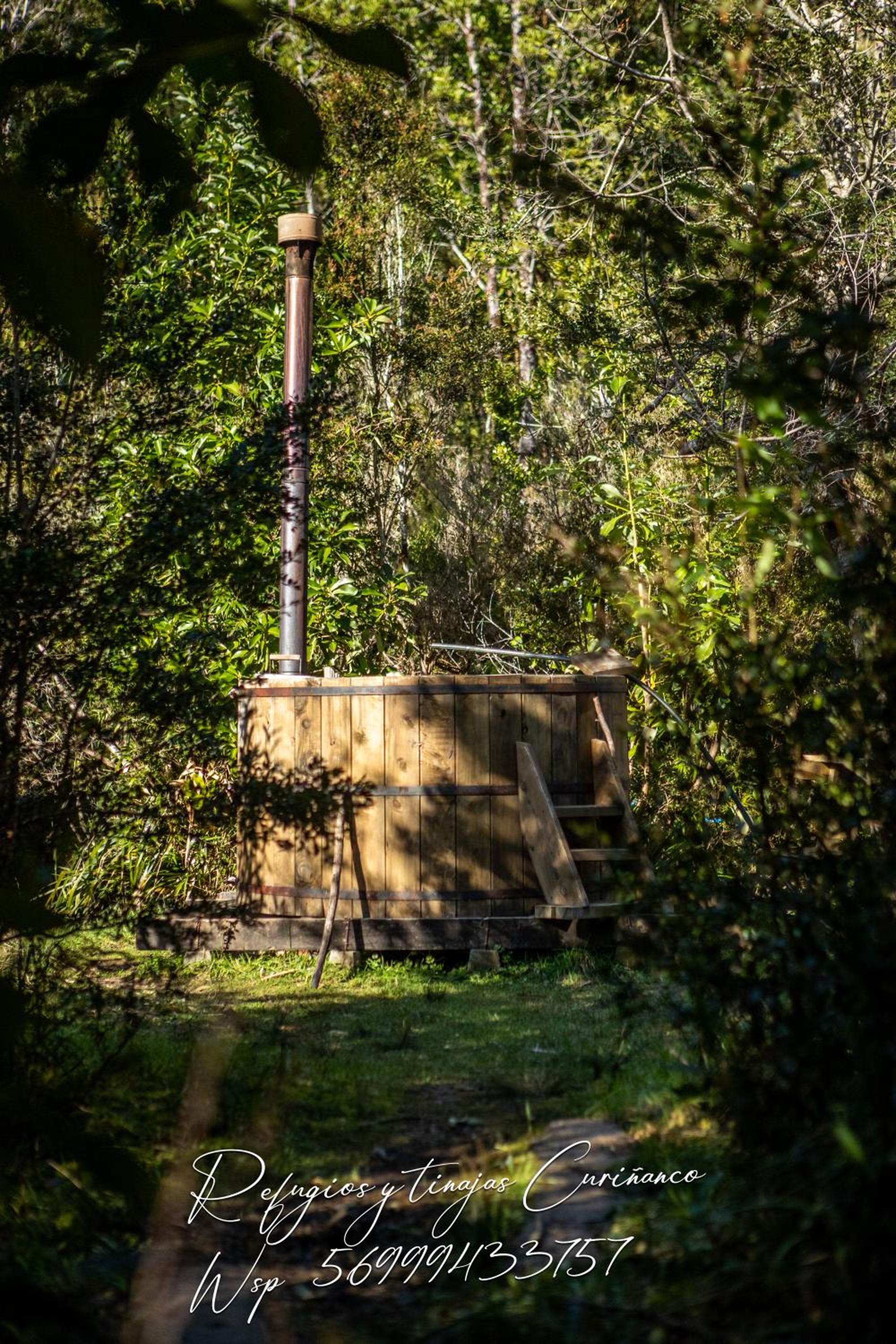 Refugio en Selva Valdiviana