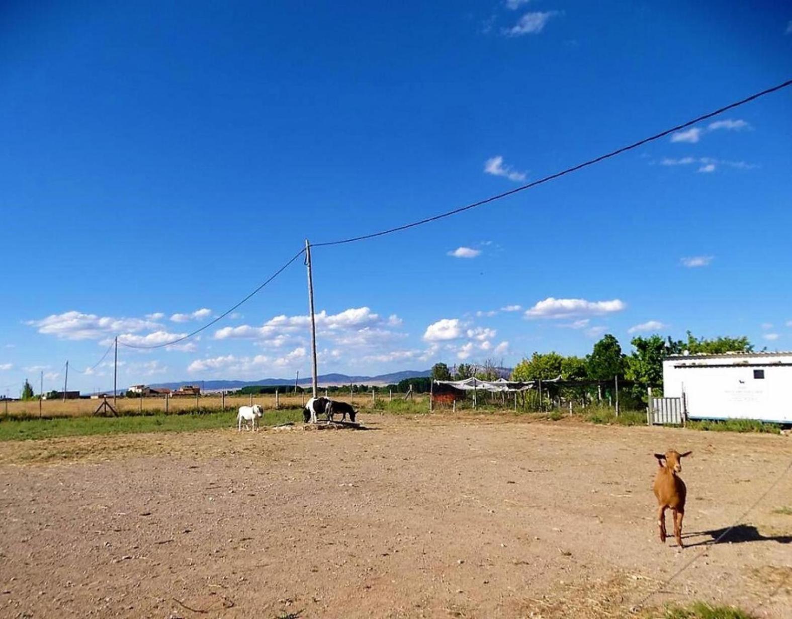 Masia Los Camineros