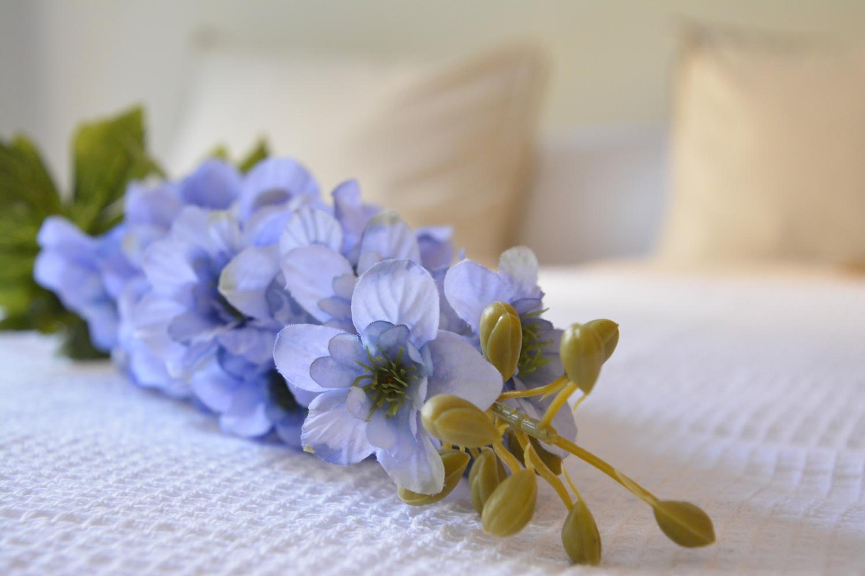 Searenity Apartments Estepona