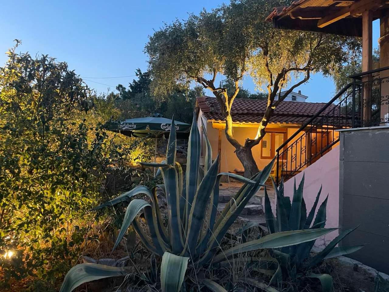Ammolofoi country villas