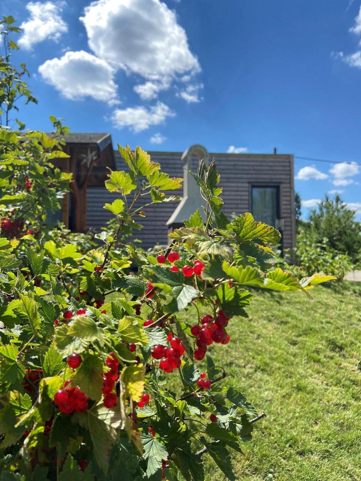 Ferienhaus AUSZEIT