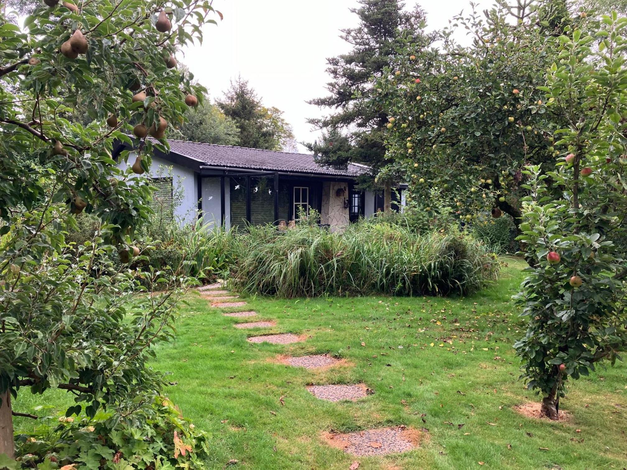 Photo 8