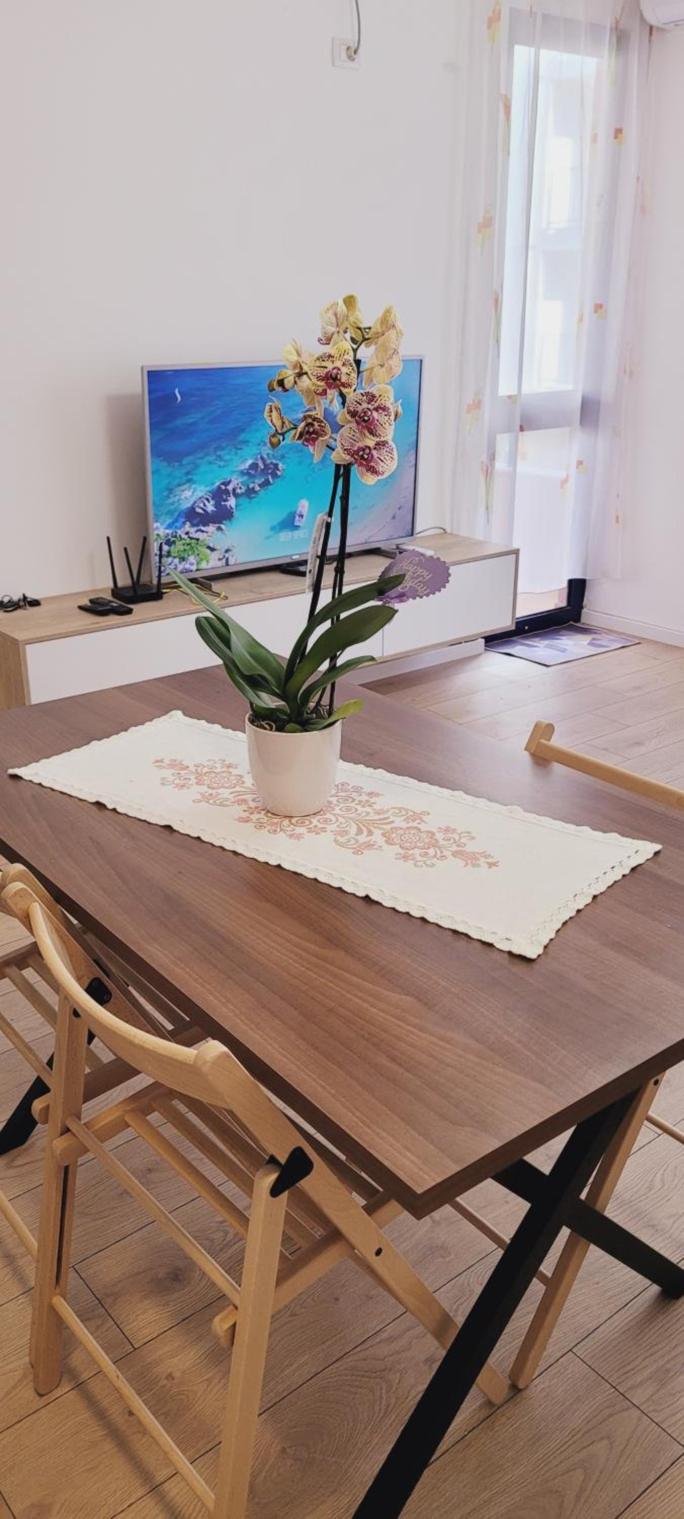 Adriatik beach retreat and relax apartment