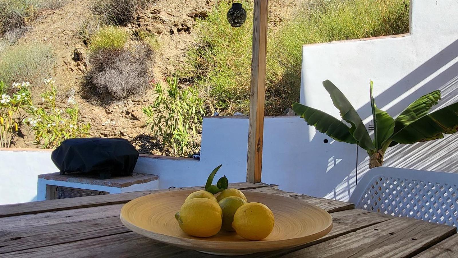 Casa Maliyaa