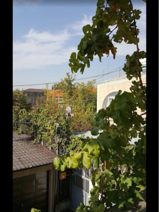 Sunny Central Apartment
