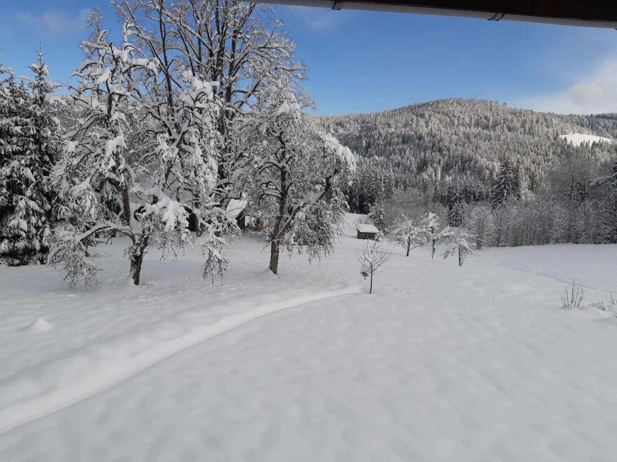 Haus Heimrich