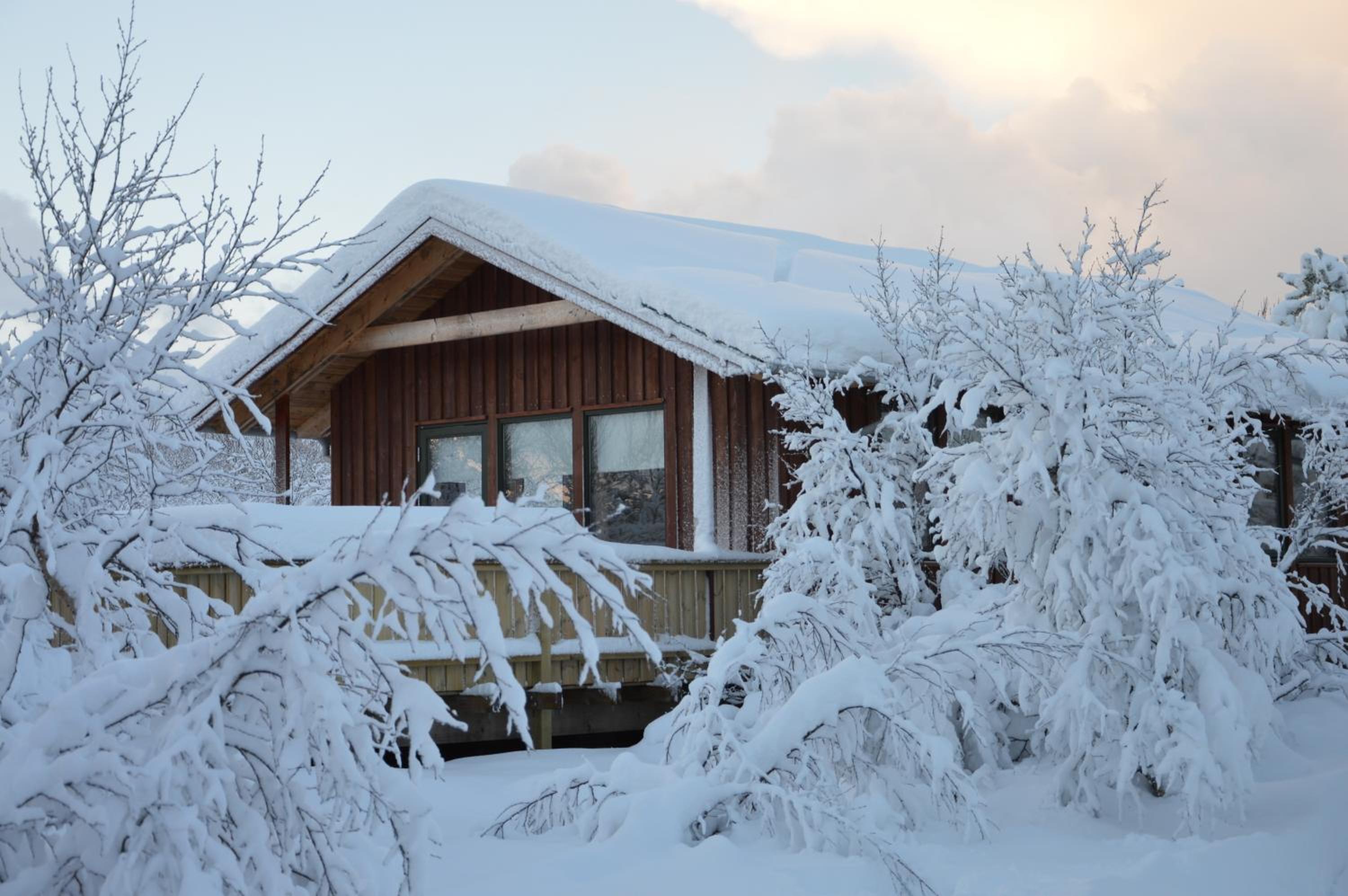 Gesthus Selfoss